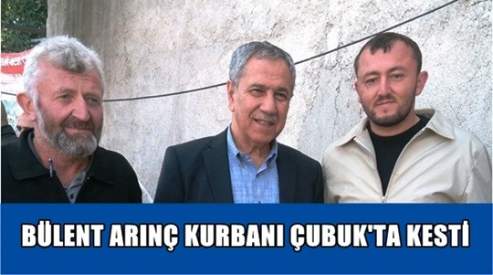 cubuk kurban bulent arinc