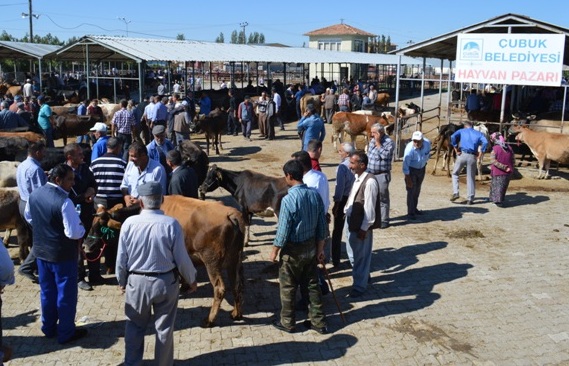 cubuk kurbanlik ankara