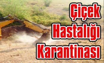 cubuk cicek hastaligi karantinasi