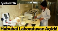 Kooperatif Hububat Laboratuarı Kurdu