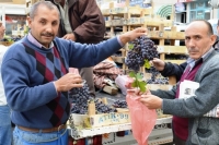 Kara Gevrek Üzümü Bu Yıl Olmadı