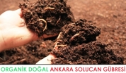 Çubuk Solucan Gübresi | Organik Doğal Solucan Gübresi