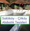 Çitköy Alabalık Tesisleri | Saklıköy