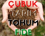 Çubuk Tarım Tohum Fide