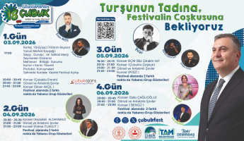Çubuk Uluslararası Turşu ve Kültür Festivaline hazırlanıyor